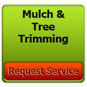 Mulch and  tree trimming