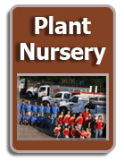 Plant Nursery Tampa Florida