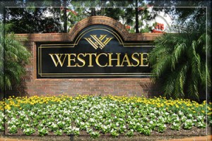 Westchase Florida Lawn Maintenance