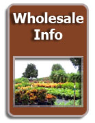 Tampa Plant Wholesale Info