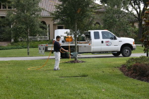 pest control Tampa Florida